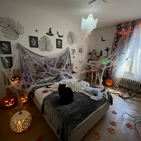 Logis Du Cirque Centre Historique 2* Troyes