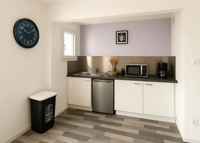 Logis Du Cirque Centre Historique Hotel