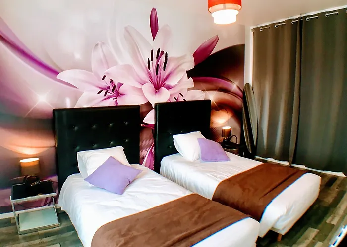 Logis Du Cirque Centre Historique Troyes